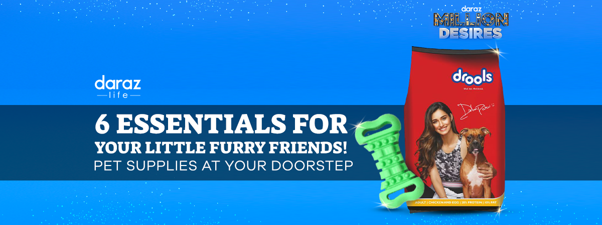  6 Essentials For Your Furry Little Friends : Pet Supplies At your Doorstep!
